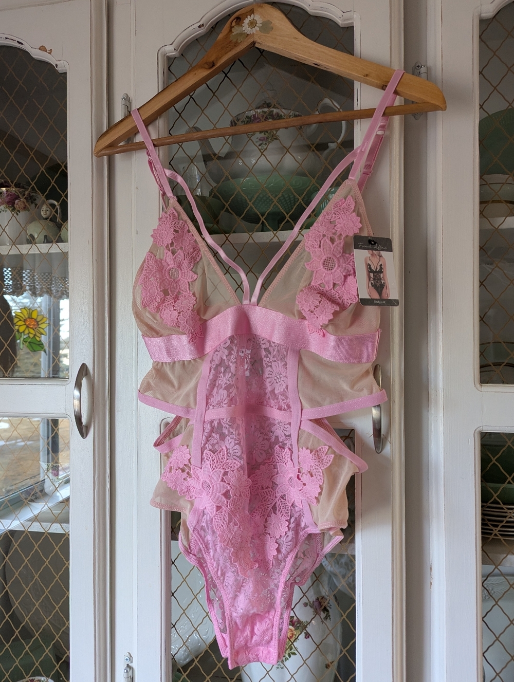 Sheer Pink Lace Teddy Bodysuit with Floral Appliqué Lingerie Nude